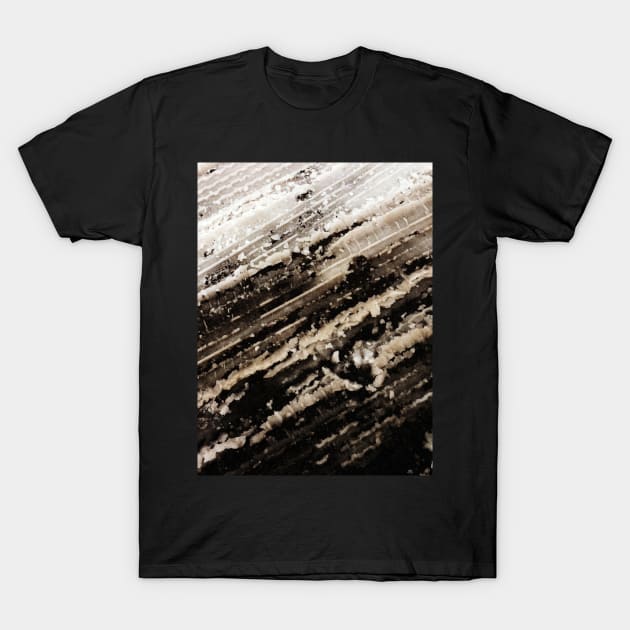 Winter Snow Storm  no. 2 T-Shirt by Neil Feigeles